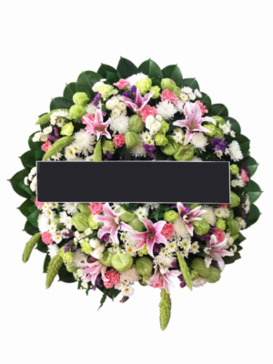 CT03