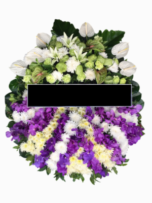 CT04