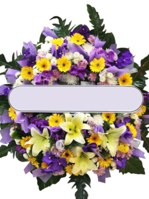 CT06